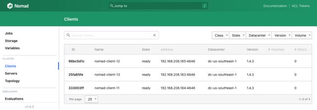 nomad-cluster-clients.png